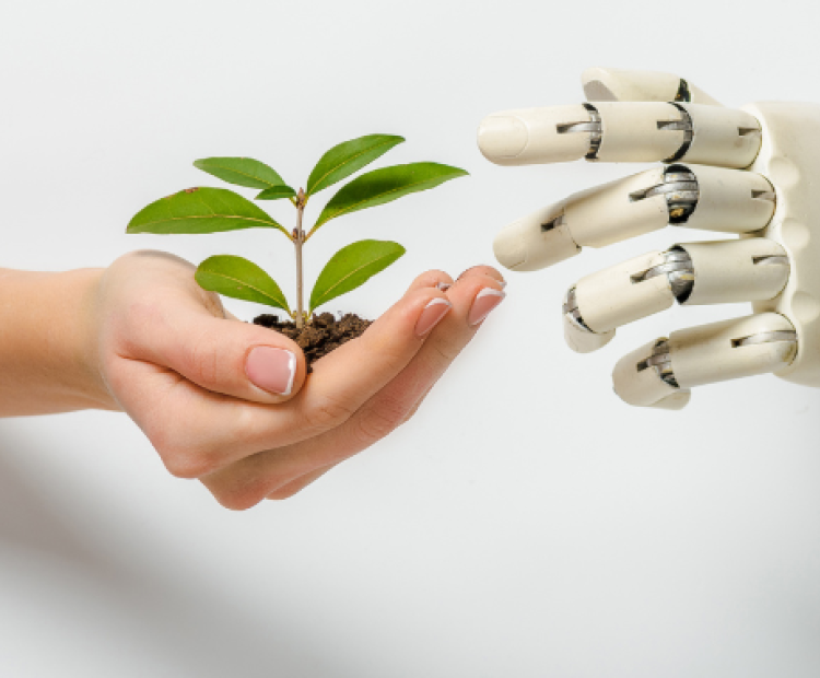 Mano y robot intercambiando planta